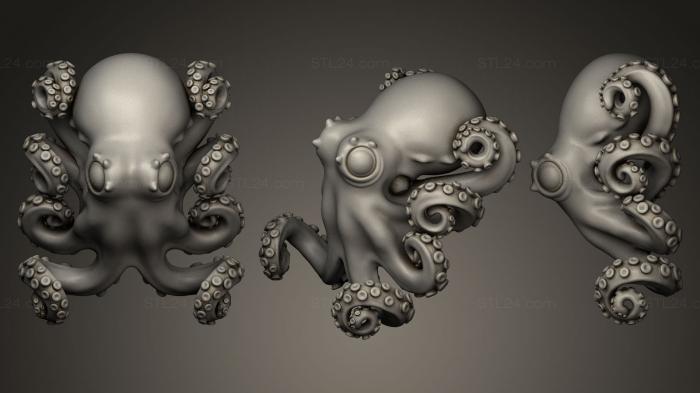 Octopus Graneledone boreopacifica