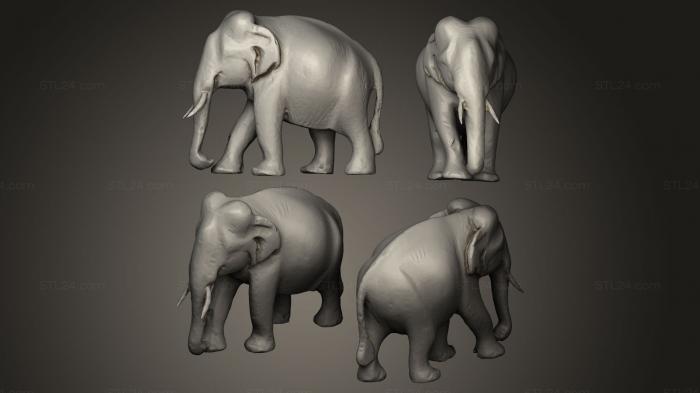 Статуэтки животных (Слон из дерева, STKJ_0127) 3D модель для ЧПУ станка