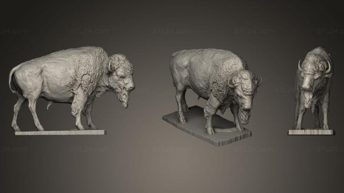 Статуэтки животных (Статуя американского буйвола, STKJ_0148) 3D модель для ЧПУ станка