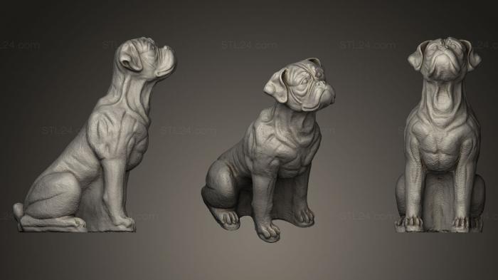 Статуэтки животных (Скульптура собаки-боксера, STKJ_0171) 3D модель для ЧПУ станка
