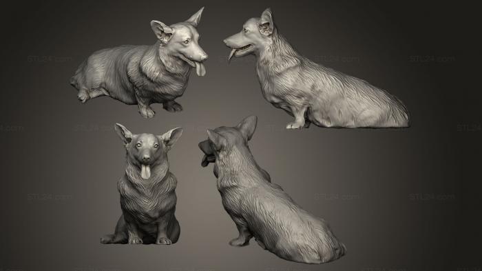 Статуэтки животных (Собака корги сидит 02, STKJ_0203) 3D модель для ЧПУ станка