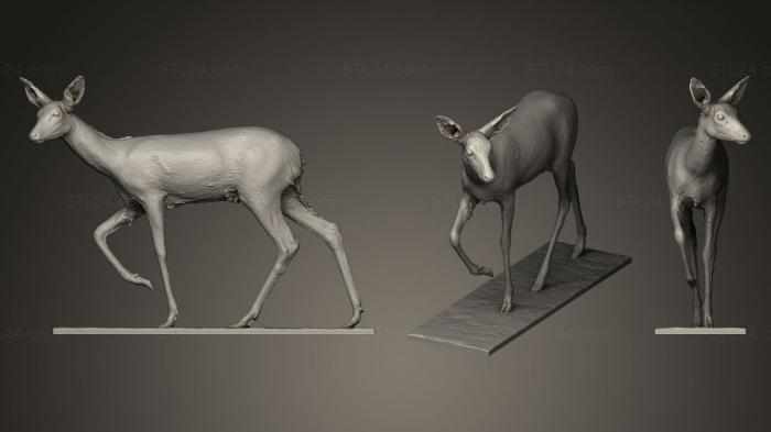 Статуэтки животных (Лань Капрелус, STKJ_0226) 3D модель для ЧПУ станка