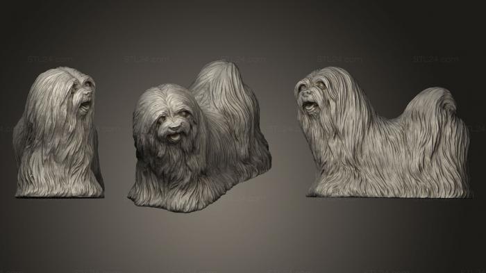 Статуэтки животных (Статуэтка собаки Лхаса Апсо, STKJ_0348) 3D модель для ЧПУ станка