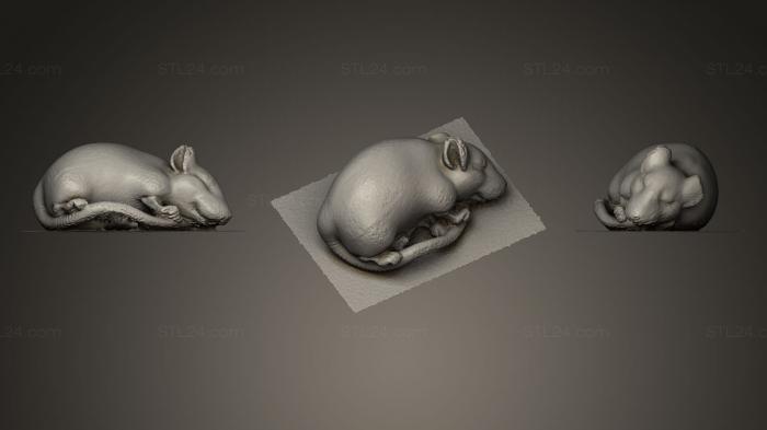Статуэтки животных (Нэцкэ Спящая крыса, STKJ_0373) 3D модель для ЧПУ станка