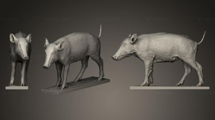 Статуэтки животных (Дикий кабан, STKJ_0472) 3D модель для ЧПУ станка