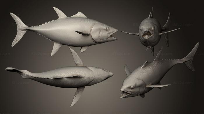 Статуэтки животных (Голубой тунец, STKJ_0491) 3D модель для ЧПУ станка