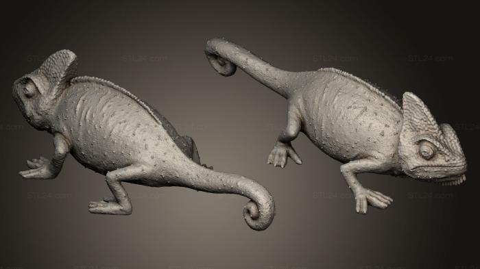 Статуэтки животных ( Хамелеон, STKJ_0502) 3D модель для ЧПУ станка