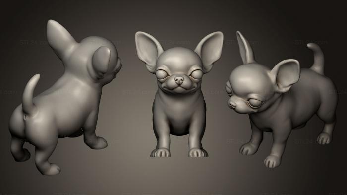 Статуэтки животных (Милый щенок собаки чихуахуа, STKJ_0520) 3D модель для ЧПУ станка