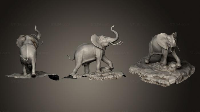 Статуэтки животных (Бронзовая скульптура Слона, STKJ_0535) 3D модель для ЧПУ станка