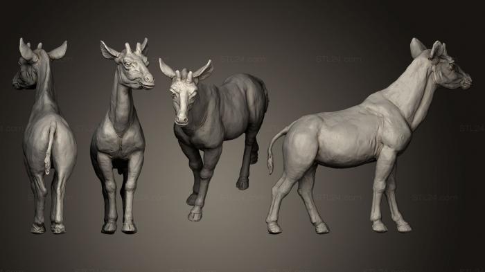 Animal figurines (Okapi Okapia johnstoni, STKJ_0593) 3D models for cnc