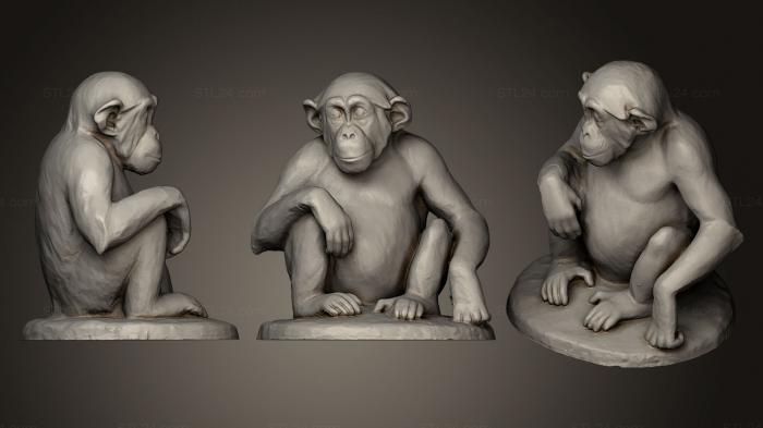 Статуэтки животных (Молодой шимпанзе сидит, STKJ_0662) 3D модель для ЧПУ станка