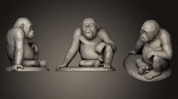 Статуэтки животных (Молодая горилла сидящяя, STKJ_0663) 3D модель для ЧПУ станка