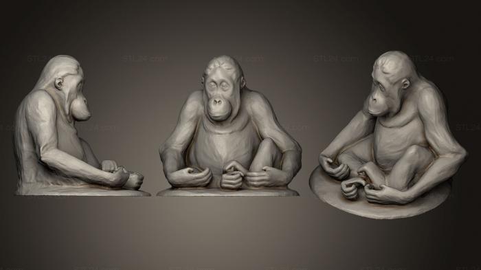 Статуэтки животных (Молодой орангутанг сидит, STKJ_0664) 3D модель для ЧПУ станка