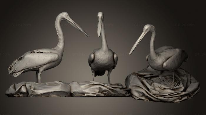 Статуэтки животных (Американский белый пеликан, STKJ_0671) 3D модель для ЧПУ станка