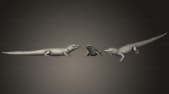 Статуэтки животных (Американский аллигатор из Музея естественной истории Вены, STKJ_0683) 3D модель для ЧПУ станка
