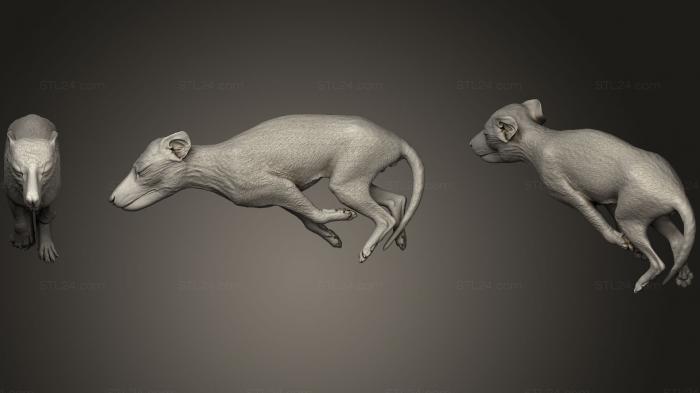 Статуэтки животных (Детеныш Thylacinus Cynocephalus, STKJ_0720) 3D модель для ЧПУ станка