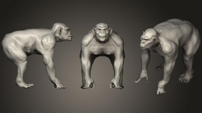 Статуэтки животных (Скульптура шимпанзе Zbrush, STKJ_0822) 3D модель для ЧПУ станка