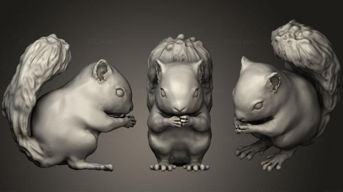 Animal figurines (Cute Fat Baby Squirrel, STKJ_0859) 3D models for cnc