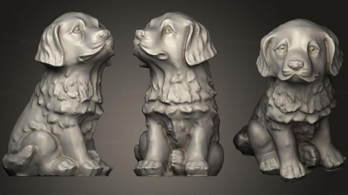 Статуэтки животных (Щенок собаки (золотистый ретривер Голден Дудл), STKJ_0886) 3D модель для ЧПУ станка