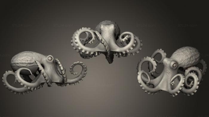 Animal figurines (Eledone cirrhosa exterior, STKJ_0916) 3D models for cnc