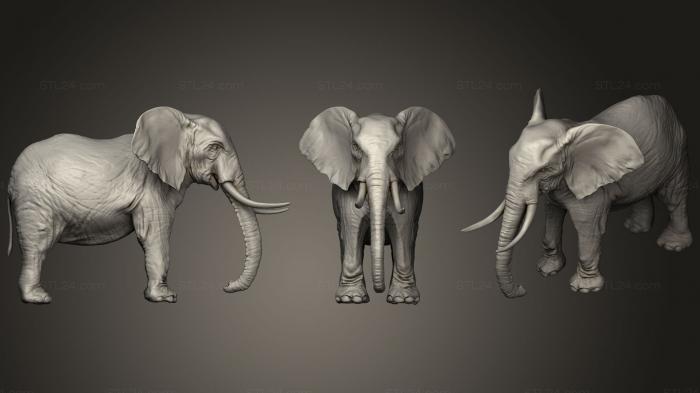 Animal figurines (Elephant 3d Printable, STKJ_0919) 3D models for cnc
