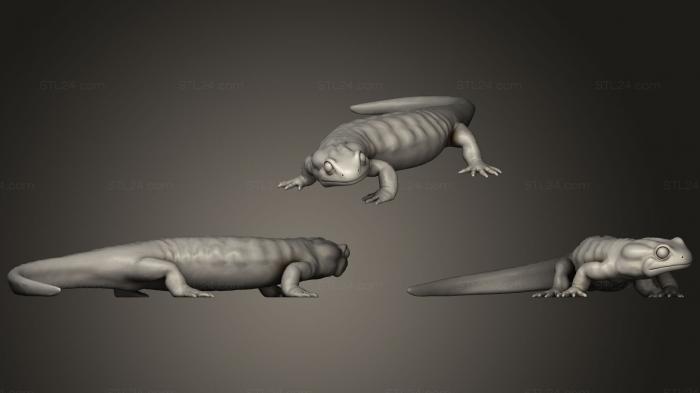 Animal figurines (Fire Salamander With Terrain, STKJ_0950) 3D models for cnc