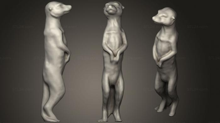 Статуэтки животных (Садовая фигура сураката (вероятно), STKJ_0988) 3D модель для ЧПУ станка