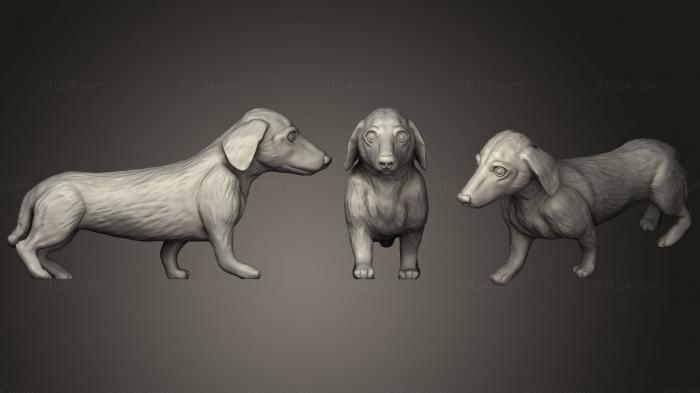 Animal figurines (Gold Dachshund Cute Eye, STKJ_1026) 3D models for cnc