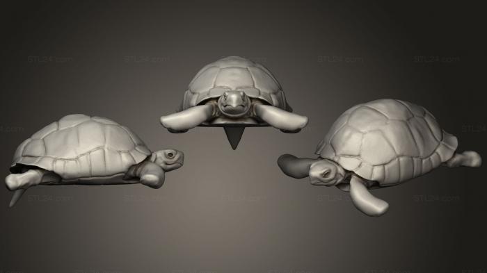 Статуэтки животных (Черепаха Германна WIP 3, STKJ_1057) 3D модель для ЧПУ станка