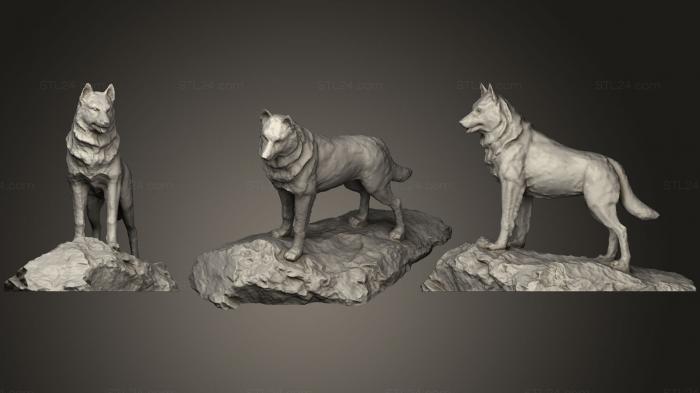 Статуэтки животных (Статуя Хаски, Мичиганский технологический институт, STKJ_1081) 3D модель для ЧПУ станка