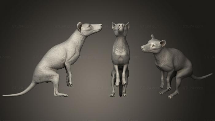 Animal figurines (Male Thylacine or Thylacinus Cynocephalus, STKJ_1163) 3D models for cnc