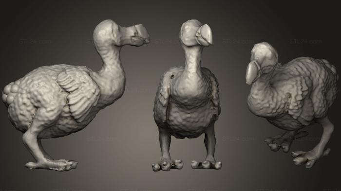More Realistic Dodo Raphus