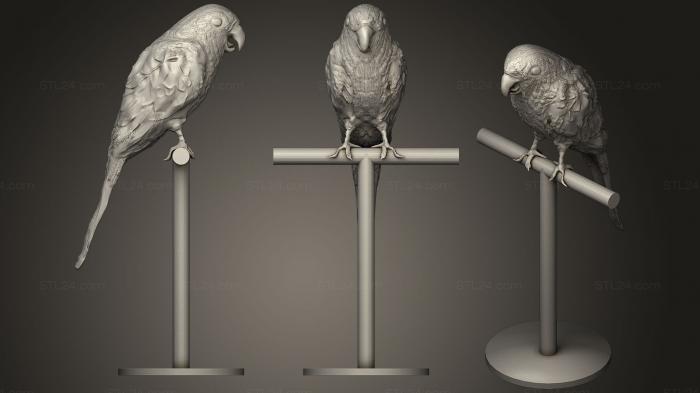 Статуэтки животных (Попугай Конуро-дель-Соле, STKJ_1257) 3D модель для ЧПУ станка