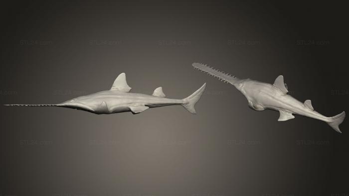Статуэтки животных (Доисторическая рыба (Onchopristis), STKJ_1368) 3D модель для ЧПУ станка