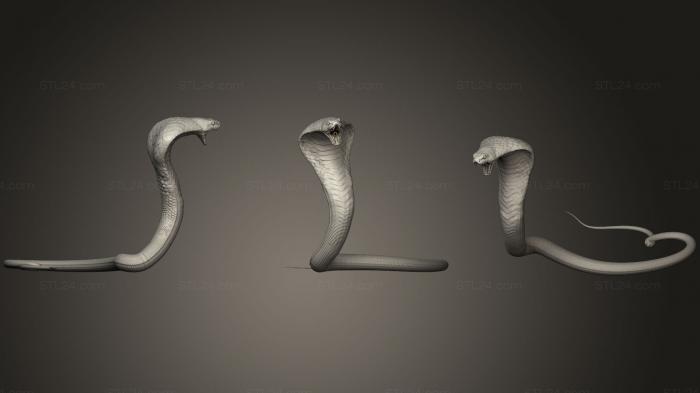 Статуэтки животных (Реалистичная сердитая атака кобры, STKJ_1393) 3D модель для ЧПУ станка
