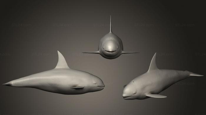 Animal figurines (Realistic Killer Whale, STKJ_1406) 3D models for cnc