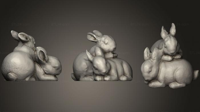 Статуэтки животных (Отсканированная фигурка Кролика, STKJ_1431) 3D модель для ЧПУ станка