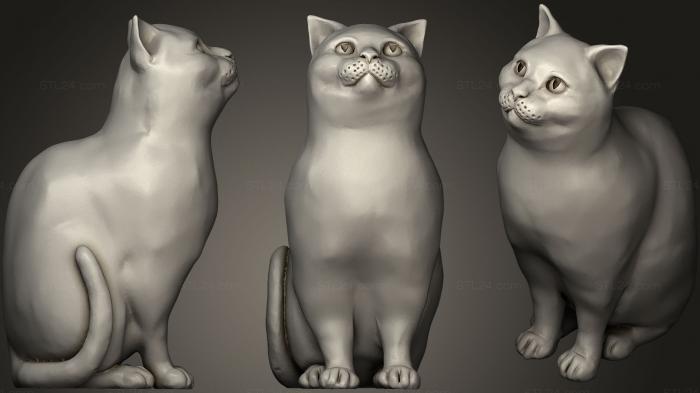 Статуэтки животных (Шродинки Британская Короткошерстная Кошка, Сидящая в коробке 2, STKJ_1432) 3D модель для ЧПУ станка
