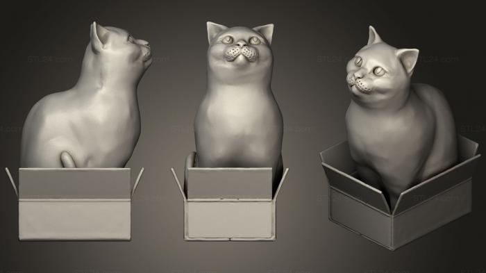 Статуэтки животных (Шродинки Британская короткошерстная Кошка, Сидящая в коробке, STKJ_1433) 3D модель для ЧПУ станка