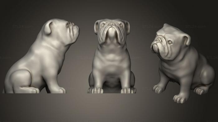 Статуэтки животных (Сидящий английский бульдог, STKJ_1469) 3D модель для ЧПУ станка