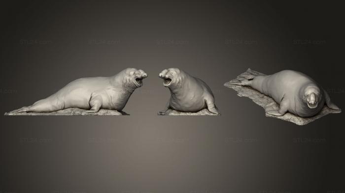 Animal figurines (Southern Elephant Seal By Natural History Museum Of Vienna, STKJ_1486) 3D models for cnc