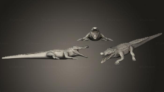 Статуэтки животных (Совершенная анатомия крокодила, STKJ_1553) 3D модель для ЧПУ станка
