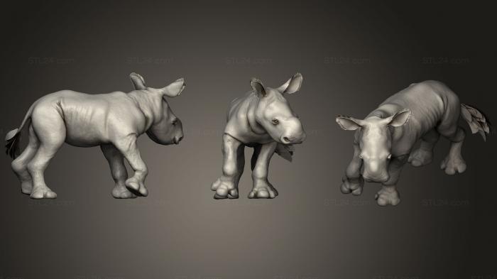 Статуэтки животных (Поза младенца белого носорога, STKJ_1617) 3D модель для ЧПУ станка