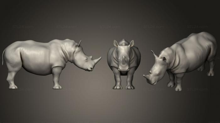 Статуэтки животных (Взрослый белый носорог WIP, STKJ_1643) 3D модель для ЧПУ станка