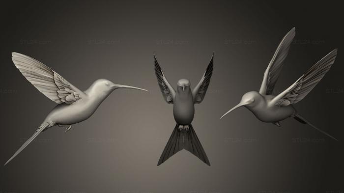 Статуэтки животных (Ласточехвостая колибри, STKJ_1802) 3D модель для ЧПУ станка