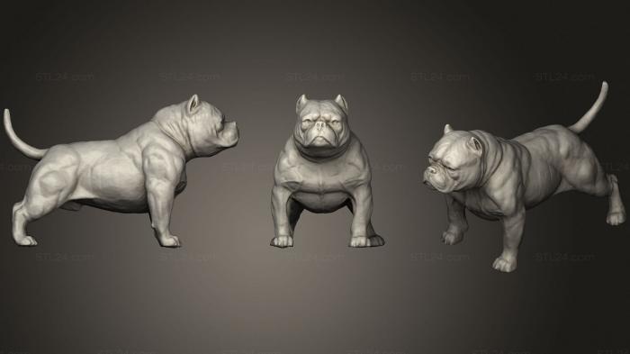 Статуэтки животных (Американская Собака - Хулиган, STKJ_1838) 3D модель для ЧПУ станка