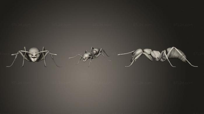 Идущий муравей
