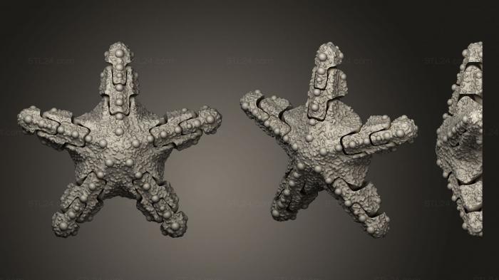 Статуэтки животных (Сочлененная Морская звезда, STKJ_1881) 3D модель для ЧПУ станка
