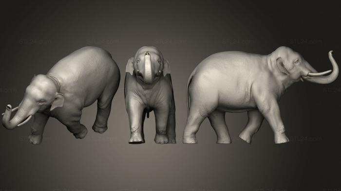 Статуэтки животных (Азиатский слон 2, STKJ_1884) 3D модель для ЧПУ станка