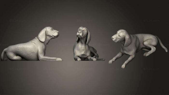 Animal figurines (Beagle laying down intended for, STKJ_1902) 3D models for cnc